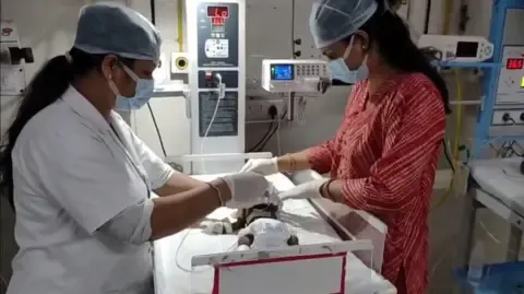 Newborn Interred Living in the Country Battles for Survival