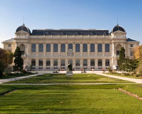 Priceless Golden Samples Taken in Audacious Robbery at France's National Institution