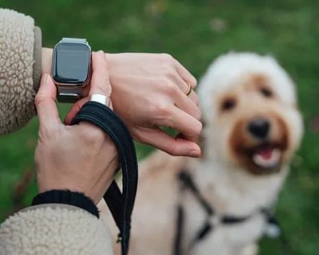 The Reality Regarding Fitness Trackers? Living Is Better Without a Nagging Device on Your Wrist